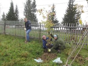 Экологический десант, посвященный Дню работников Леса провели сотрудники Шорского национального парка